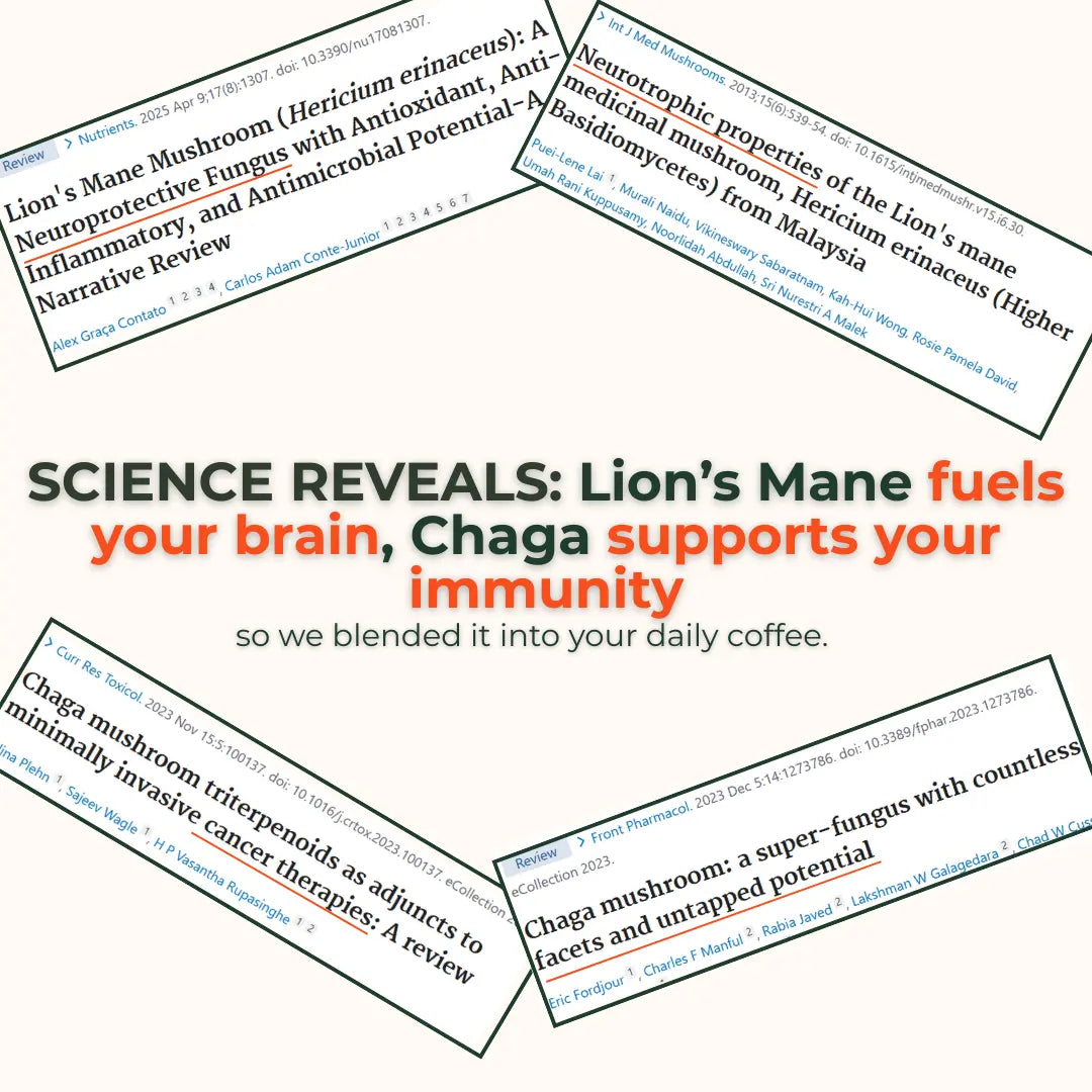 Rise & Shroom Coffee - Rise & shroom