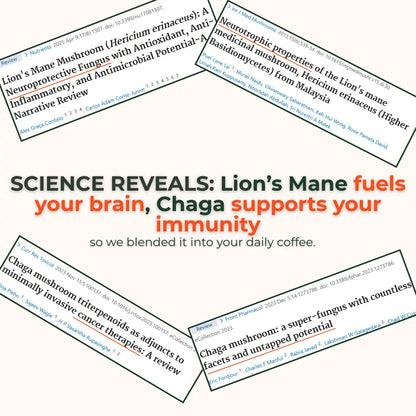 Rise & Shroom Coffee - Rise & shroom